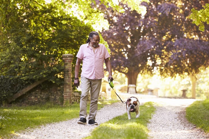 Senior Man Walking With Pet Bulldog In Countryside